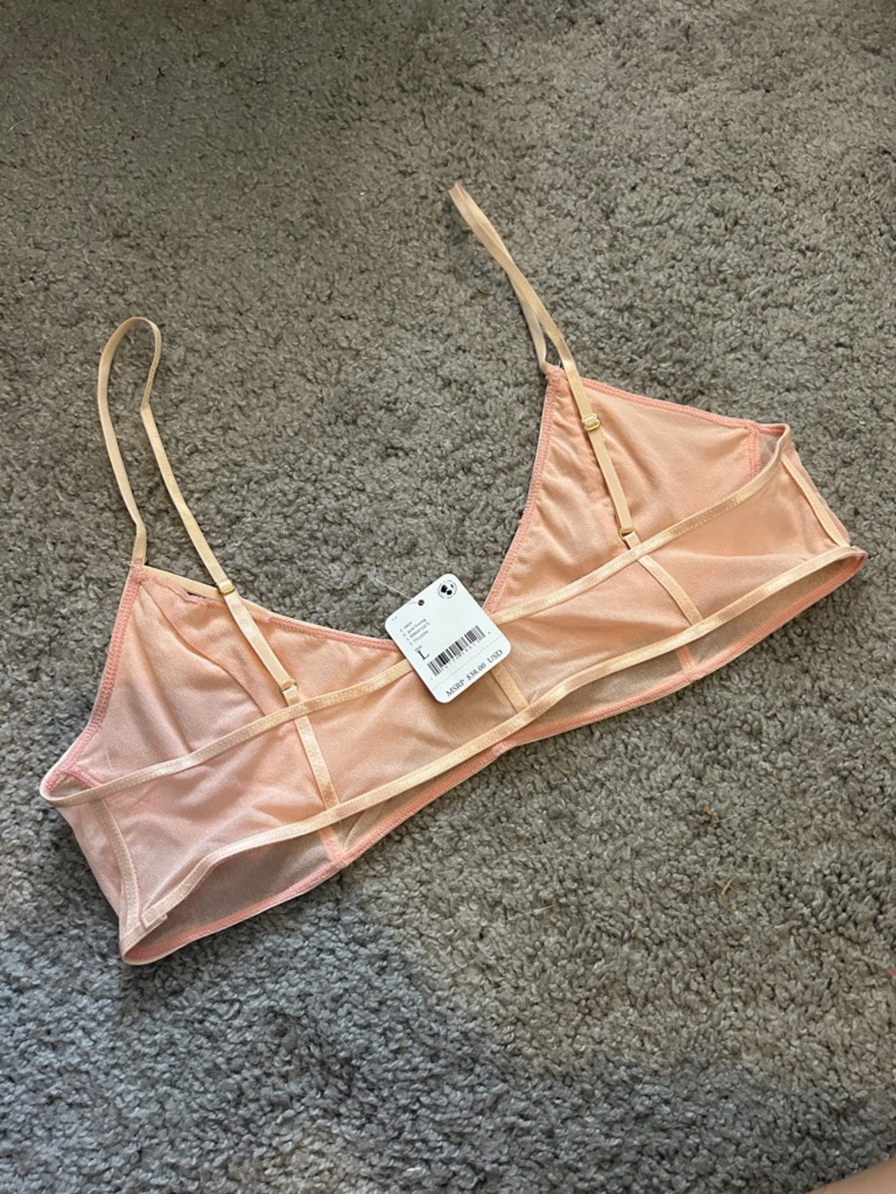 NWT $38 Free People Sheer Pink Frosting Bralette – Size L - Picture 6 of 8